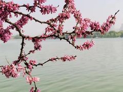-石湖景区