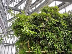 -上海观复博物馆