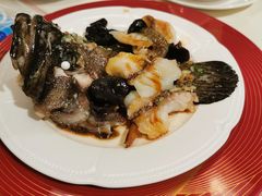 古法蒸老虎斑-利苑酒家(金宝店)