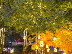 -横店影视城梦幻谷园区