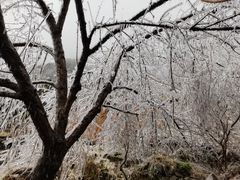 -金子山原生态旅游风景区