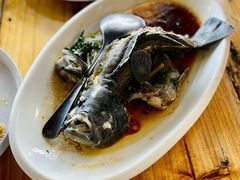 广式蒸石斑鱼-蓝湾碧波·老字号·疍家非遗海上餐厅