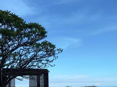 -瑰丽酒店·海吧·天际下午茶·现场DJ·天台酒吧