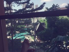-三亚湾红树林度假世界(木棉酒店)