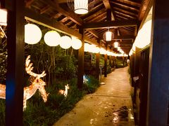 -杭州第一世界大酒店·云曼温泉