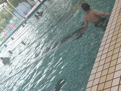 -牡丹游泳馆(金山馆)