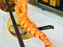 -鲜入围煮花胶鸡海鲜火锅