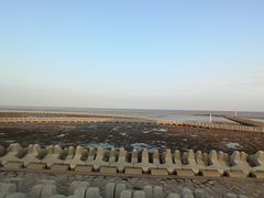 -南汇嘴观海公园