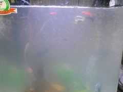 -国贸中心·国贸大厦三期