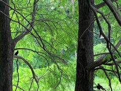 -华南国家植物园-售票处