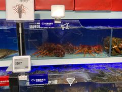 水产区-盒马鲜生(新都心店)