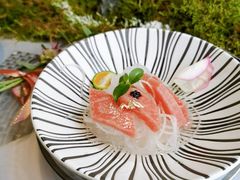 -蒲叙(凯天国际店)