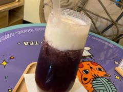 -滚猫咖啡·猫咖·猫友好撸猫(未来城店)
