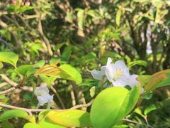 -桂林公园(地铁站)
