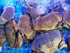 -鼓歌海鲜舫·手抓海鲜(大学城店)