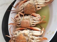 -辉记虾塘海鲜农庄