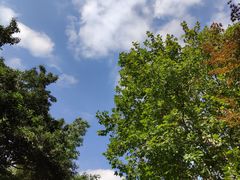 -静安公园(静安寺街道)