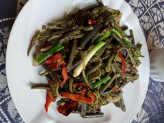 -翕庐小苑