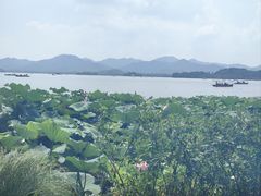-湖畔居茶楼(湖滨店)