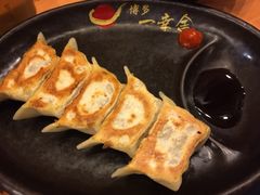 博多一幸舍(侨福芳草地店)-博多一幸舍(侨福芳草地购物中心店)