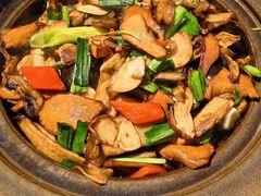 爆炒赤松茸黑牛肝菌-云海肴·汽锅鸡·云南代表菜(美罗城店)