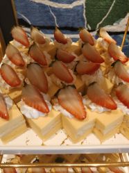 -上海外高桥喜来登酒店·宴会厅