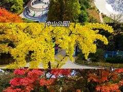 -八大关景区