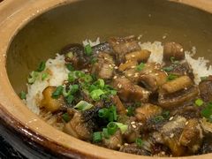 -红星光发煲仔饭(文海店)
