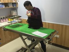 -瑞鹏宠物医院·内科·中兽医·骨科(苗圃店)