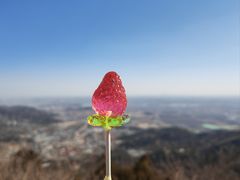 -香山公园