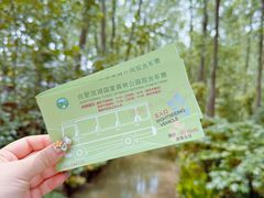 -合肥滨湖国家森林公园