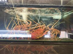 -真浪花园海鲜餐馆