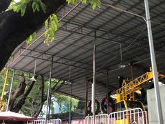 -顺德大良半月城游乐场