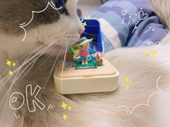 -泡泡玛特POPMART(上海环球港店)