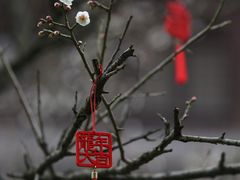 -钱王祠