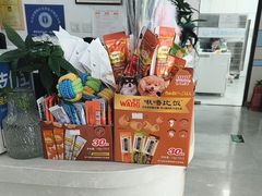 -中农国际动物医院24小时·猫科·骨科·急重症中心