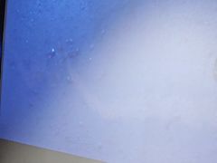 -蓉府金足印象(德阳文庙店)