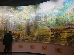 -辽宁古生物博物馆