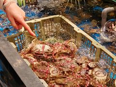 -亚马逊蒸汽活海鲜自助(LCM置汇旭辉广场店)
