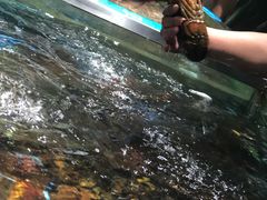 -盒马鲜生(杭州运河上街店)