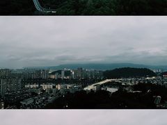 -福道