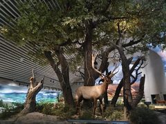-中国湿地博物馆