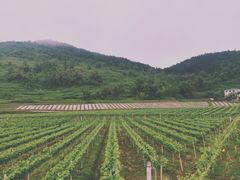 -普迪生态园