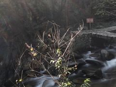 -黑龙潭风景区