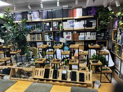 -北京天域联达耳机店(财智国际大厦店)