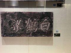 -白鹤梁水下博物馆