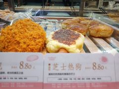 -蒲公英(五里店)