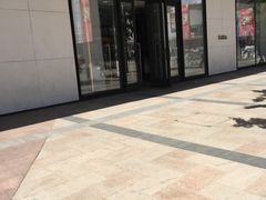 -ZARA(沈阳大悦城店)