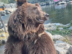 -北京野生动物园