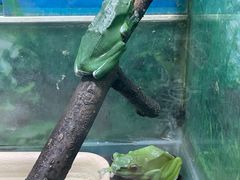 -上海大自然野生昆虫馆